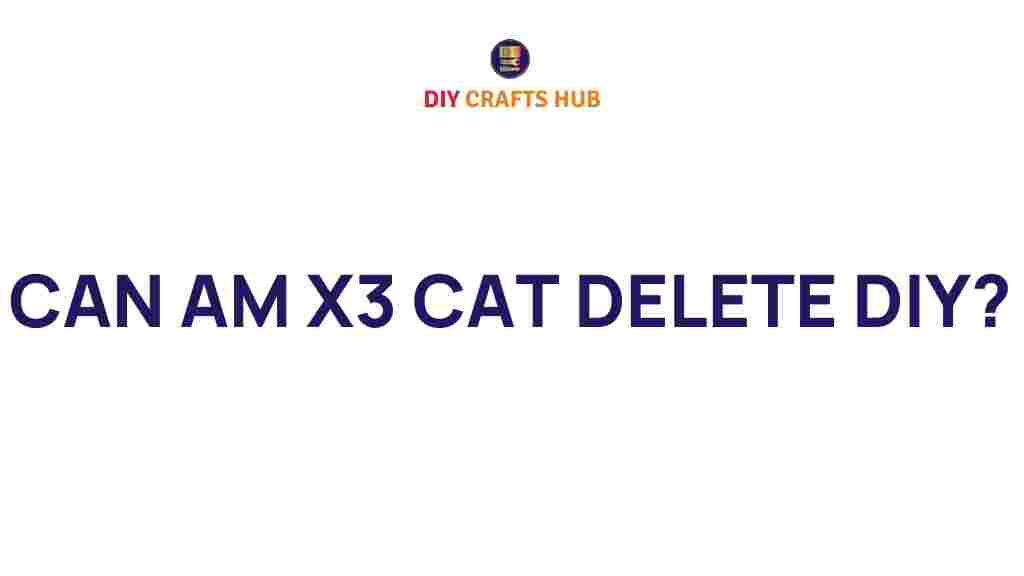 can-am-x3-cat-delete-diy