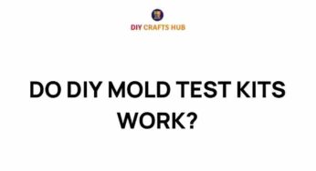 Do DIY Mold Test Kits Really Work? Unveiling the Truth Behind the Trend