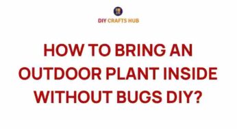 Transform Your Space: How to Bring Outdoor Plants Indoors Without Bugs