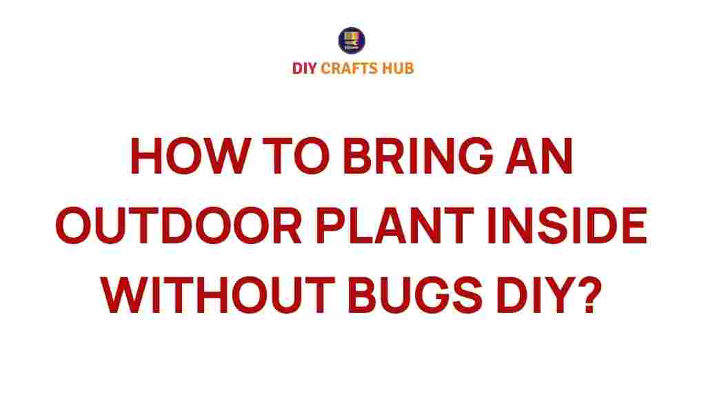 outdoor-plants-indoor-without-bugs