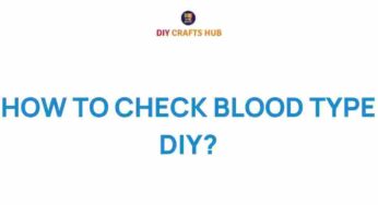 Unveiling Your Blood Type: A DIY Guide to Self-Discovery