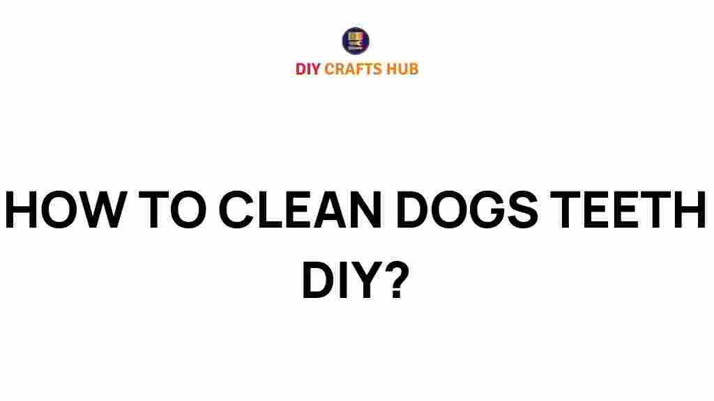 how-to-clean-dogs-teeth-diy