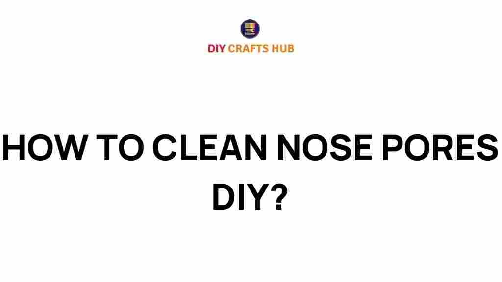 clean-nose-pores-diy-guide