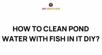 Discover the Secrets of Cleaning Pond Water Without Disturbing Fish