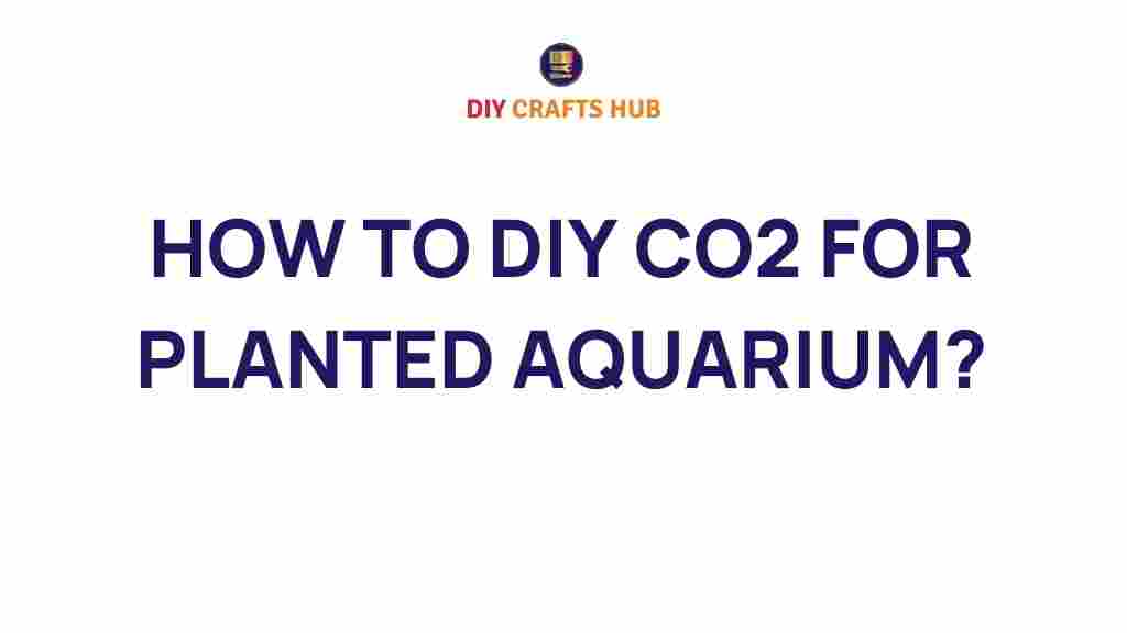 diy-co2-for-planted-aquarium
