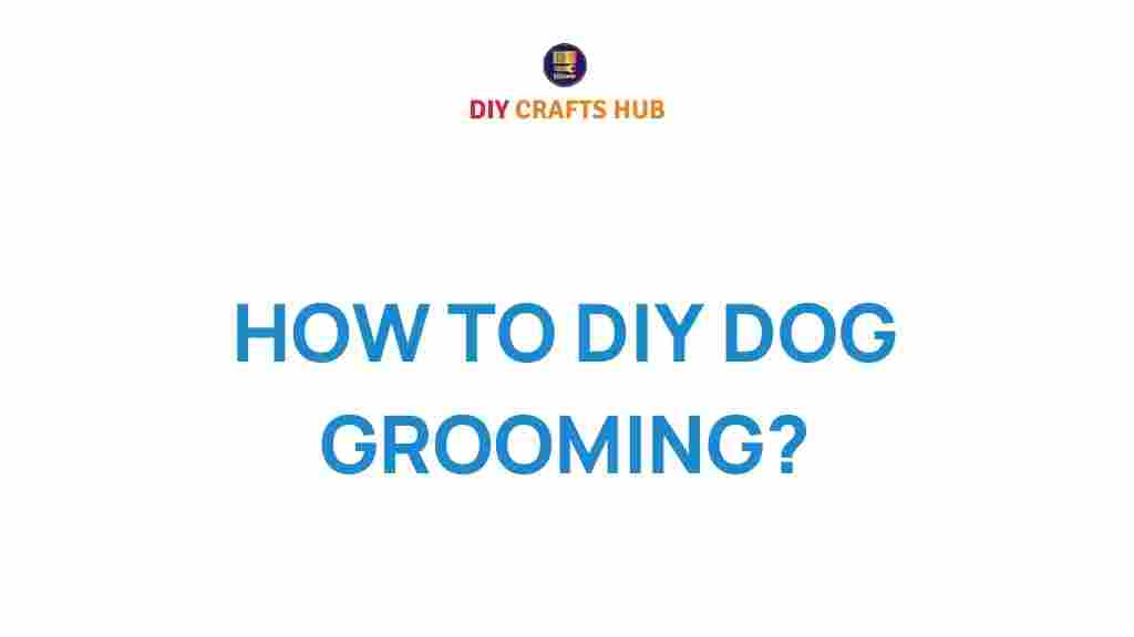diy-dog-grooming-secrets