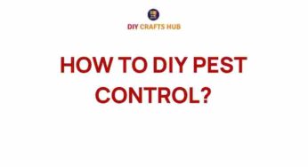 Master the Art of DIY Pest Control: Your Home’s Best Defense
