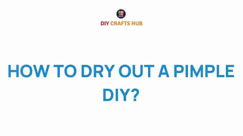 dry-out-a-pimple-diy
