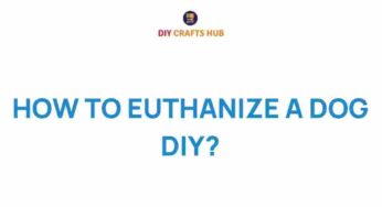 Navigating the Heart-Wrenching Decision: A Guide to Euthanizing a Dog at Home