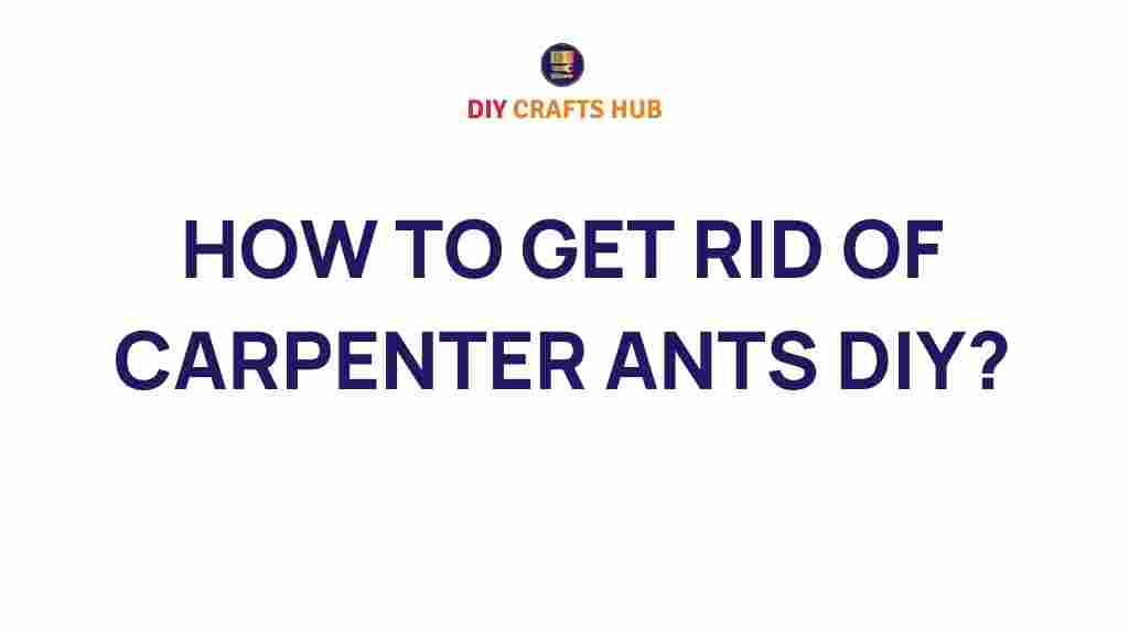 carpenter-ants-diy-guide