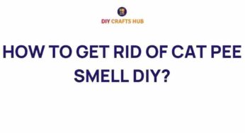 Eliminate Cat Pee Smell: DIY Solutions That Really Work