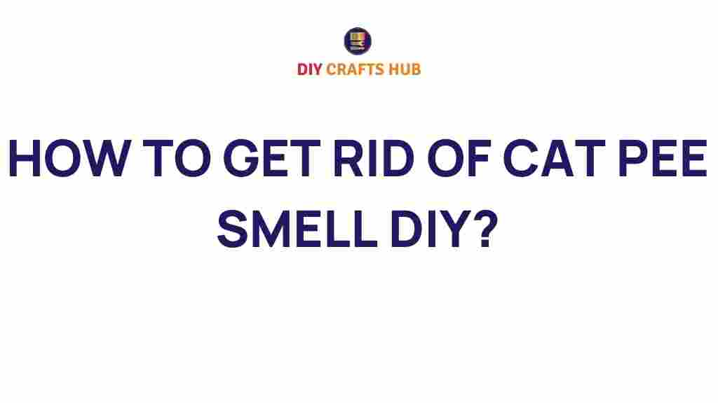 cat-pee-smell-diy