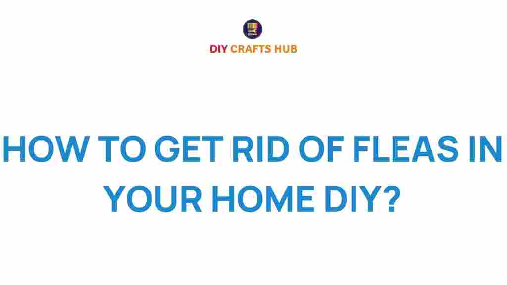 eliminate-fleas-in-your-home-diy
