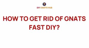 Banish Gnats Fast: Effective DIY Solutions You Need to Try