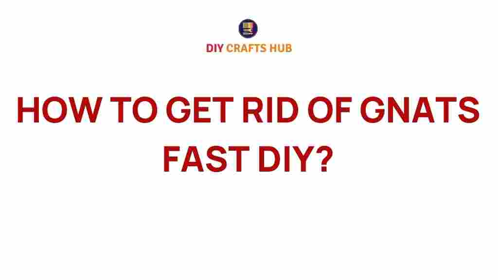 get-rid-of-gnats-fast-diy