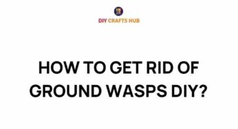Mastering the Art of Ground Wasp Elimination: A DIY Guide
