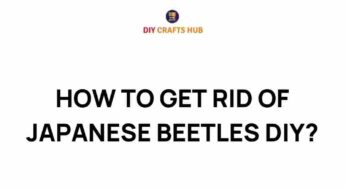 Mastering the Art of DIY: Effective Strategies to Eliminate Japanese Beetles