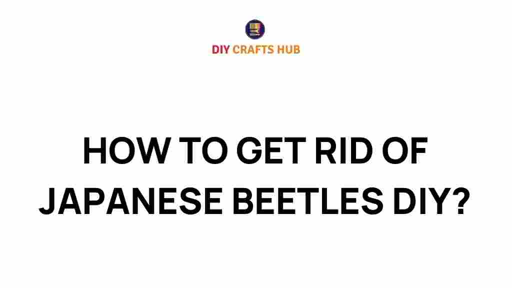 japanese-beetles-diy-solutions