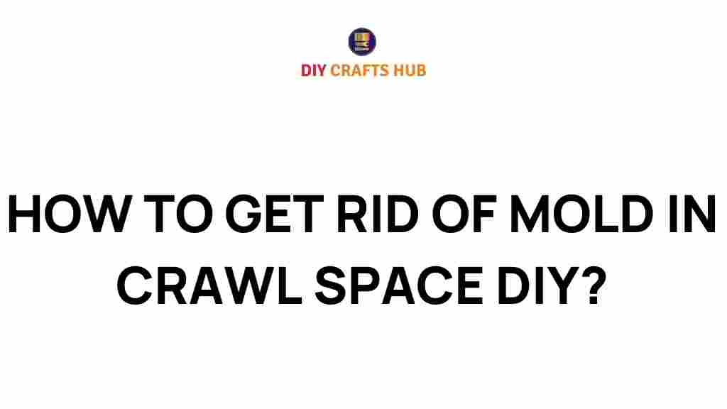 mold-removal-crawl-space-diy