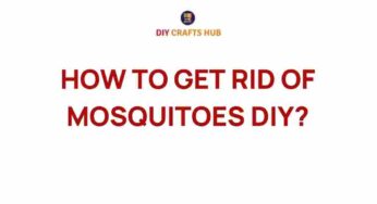 Banish Mosquitoes Naturally: DIY Strategies for a Pest-Free Summer