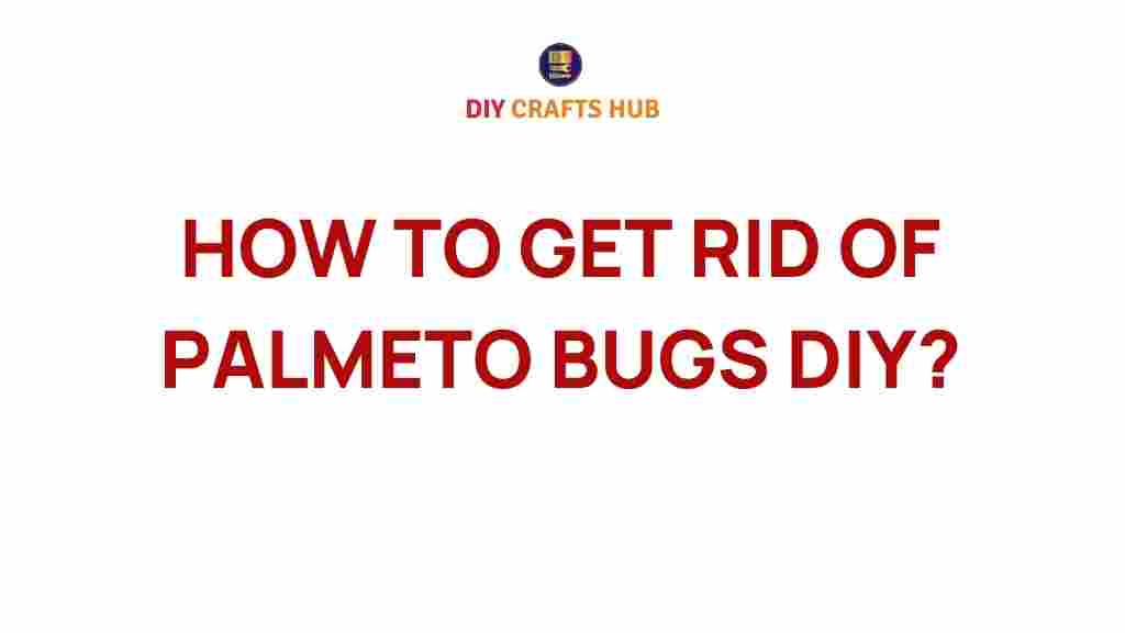 how-to-get-rid-of-palmetto-bugs-diy