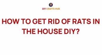 Uncover Proven Techniques to Banish Rats from Your Home