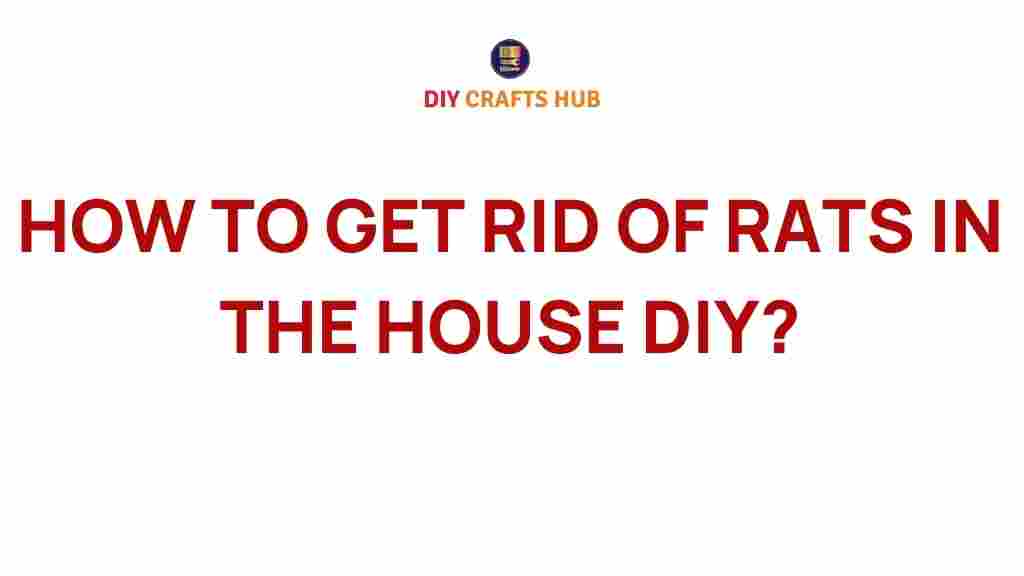 get-rid-of-rats-in-your-home-diy