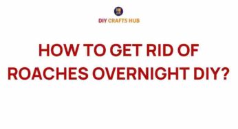 Overnight Solutions: How to Get Rid of Roaches with DIY Magic