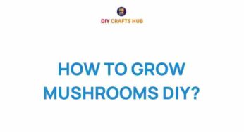 Uncover the Secrets: How to Grow Mushrooms at Home