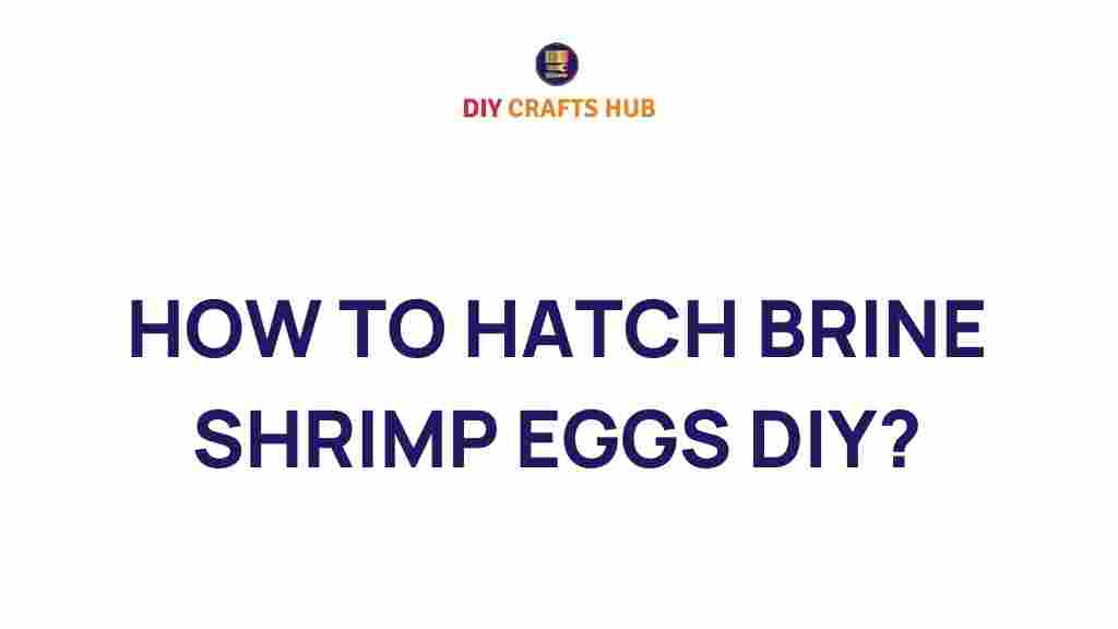 how-to-hatch-brine-shrimp