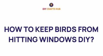Ingenious DIY Solutions to Prevent Birds from Hitting Windows