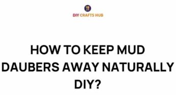 Discover Natural Solutions to Keep Mud Daubers Away
