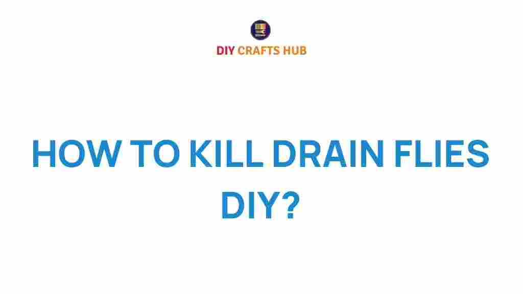 how-to-kill-drain-flies-diy