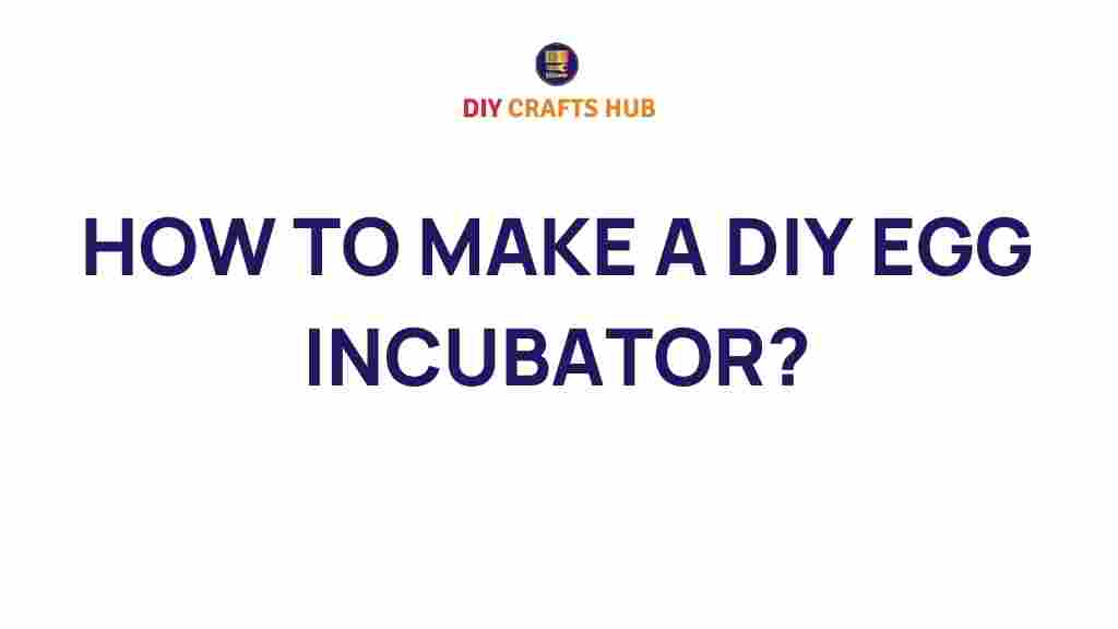 diy-egg-incubator