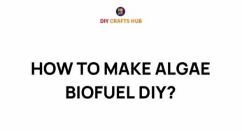 Discover the Secrets of DIY Algae Biofuel Production