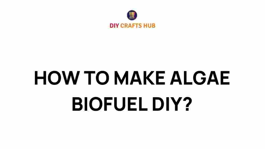 algae-biofuel-diy-guide
