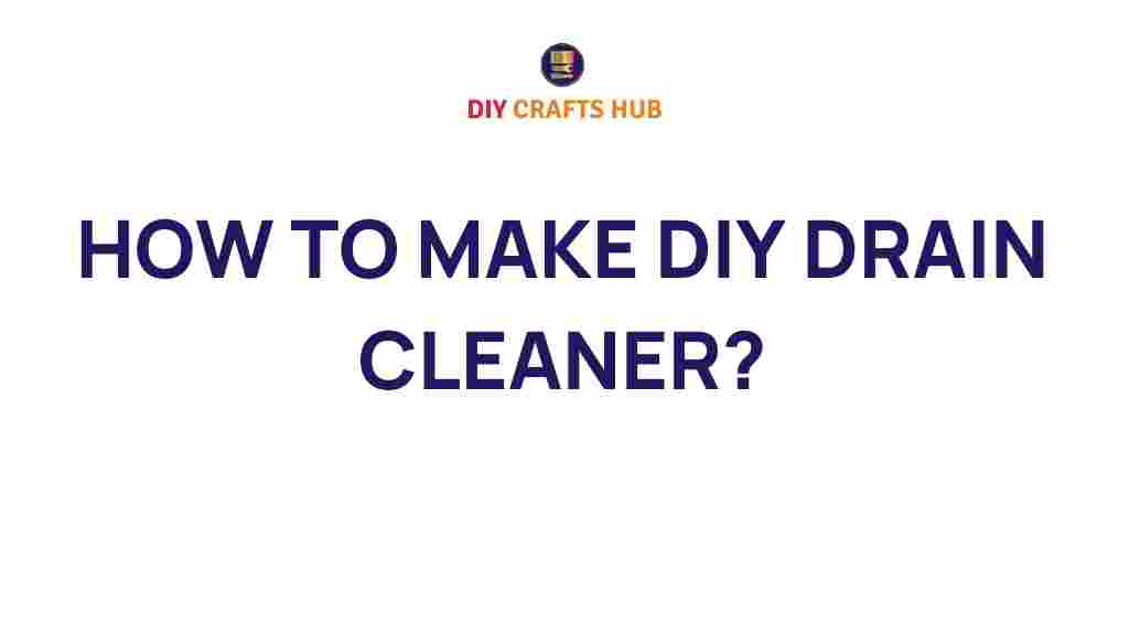 diy-drain-cleaner