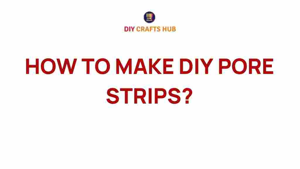 diy-pore-strips