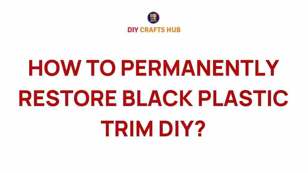 black-plastic-trim-restoration