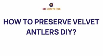 Unveiling the Art of Preserving Velvet Antlers: A DIY Guide