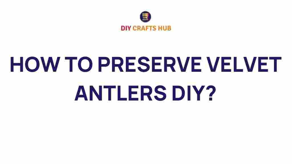 preserve-velvet-antlers-diy