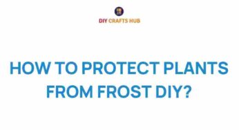 Shield Your Garden: Innovative Ways to Protect Plants from Frost