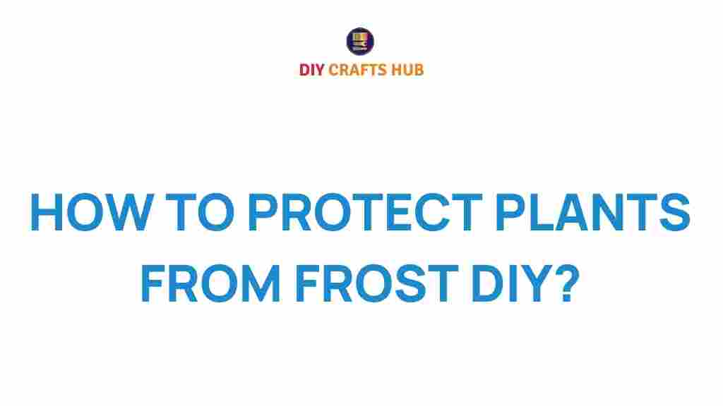 frost-protection-tips