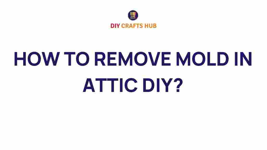 how-to-remove-mold-in-attic-diy