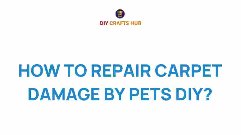 carpet-repair-pet-damage-diy