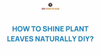 Unlock the Secret to Naturally Shining Plant Leaves at Home