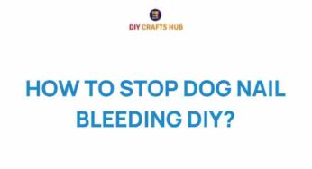 Essential Tips on How to Stop Dog Nail Bleeding Quickly