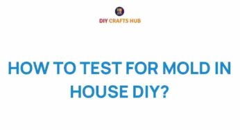 Uncover Hidden Dangers: How to Test for Mold in Your Home