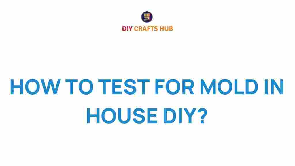 test-for-mold-in-house-diy