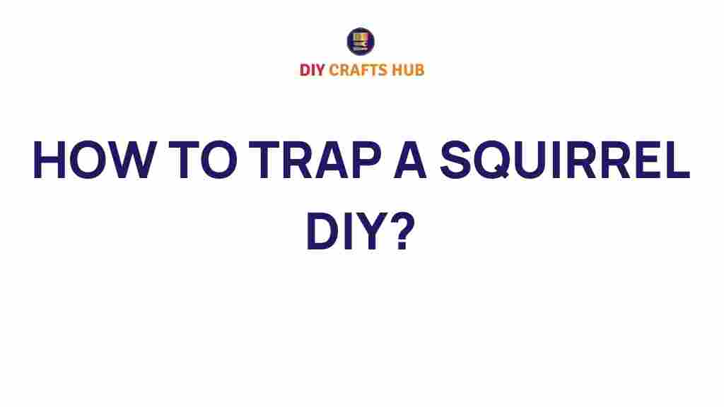 squirrel-trapping-diy-guide